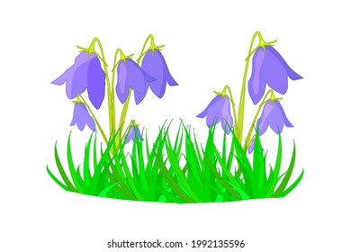 Grass with flower isolated on white background. Spring and summer grass. Bluebells growing of lawn. Fresh nature landscape. Garden bed. Stock vector illustration
