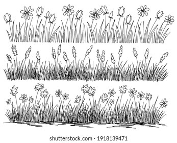 Grass flower set graphic black white isolated sketch illustration vector