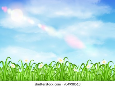 grass and flower with sky background vector