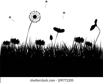 Grass and flowers