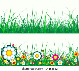 Grass and flowers
