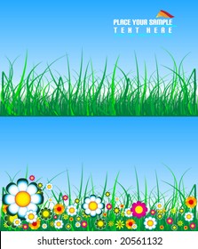 Grass and flowers