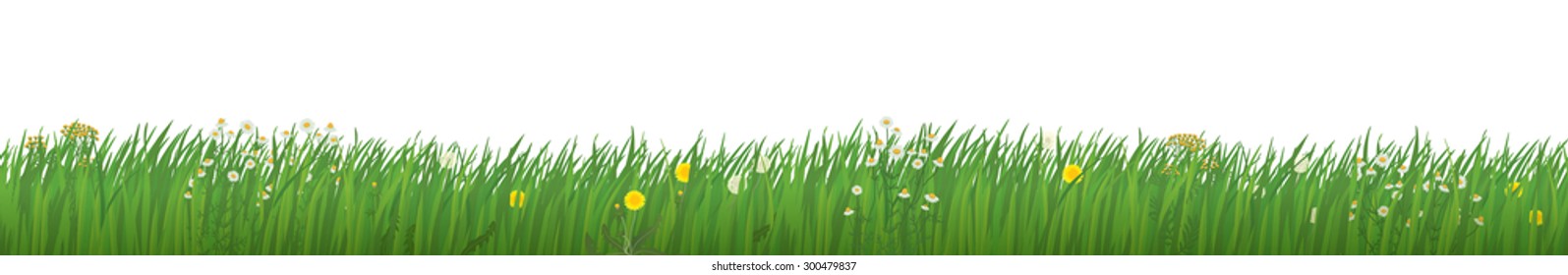 Grass with Flowers