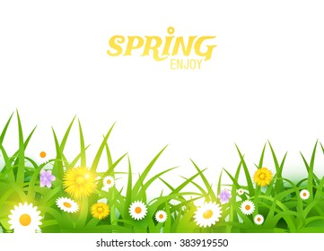 Grass & Flowers Background. Spring Design. Bright Vector illustration.