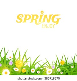 Grass & Flowers Background. Spring Design. Bright Vector illustration.