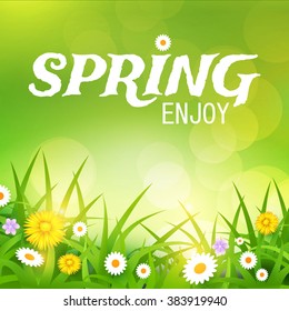 Grass & Flowers Background. Spring Design. Bright Vector illustration.