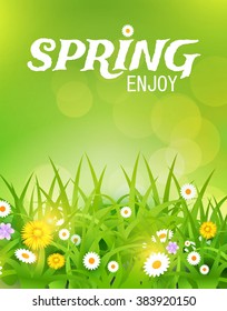 Grass & Flowers Background. Spring Design. Bright Vector illustration.
