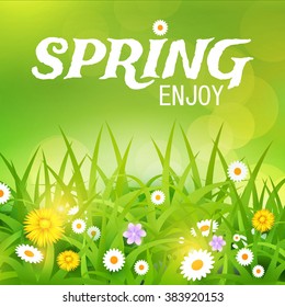 Grass & Flowers Background. Spring Design. Bright Vector illustration.