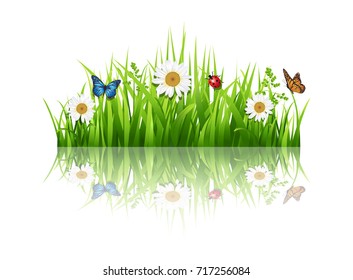 Grass with flowers background.Vector