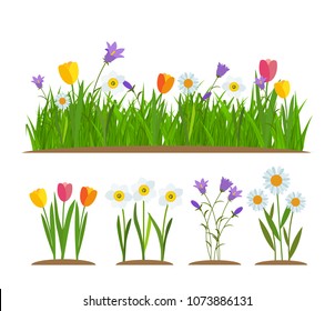 Grass and flowers border, greeting card decoration element White Background. Vector Illustration. EPS10