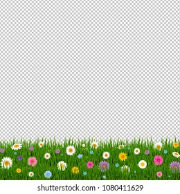 Grass And Flowers Border Transparent Background With Gradient Mesh, Vector Illustration
