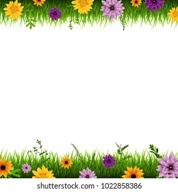 Borde De Grasa Y Flores, Ilustración De Vectores