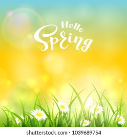 Grass with flowers and text Hello Spring on the yellow background of a shining sun, illustration.