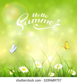 Grass with flowers and text Hello Summer on the green background of a shining sun, illustration.
