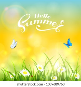 Grass with flowers and text Hello Summer on the yellow background of a shining sun, illustration.