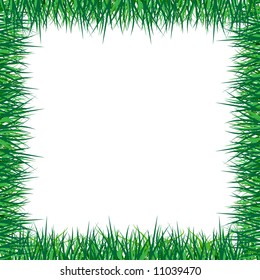 Grass Frame Stock Vector (Royalty Free) 11039470 | Shutterstock