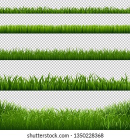 Grass Frame Borders Transparent Background, Vector Illustration