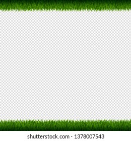 Grass Frame Isolated Transparent Background, Vector Illustration