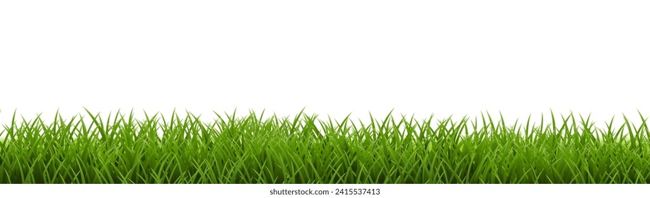 Grass Frame With Isolated White Background , Vector Illustration