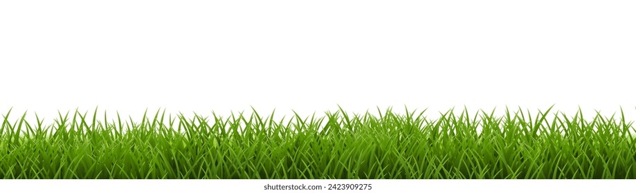 Grass Frame With Isolated White Background With Gradient Mesh, Vector Illustration