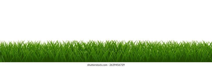 Grass Frame With Isolated White Background , Vector Illustration