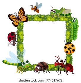 Grass frame with many insects illustration