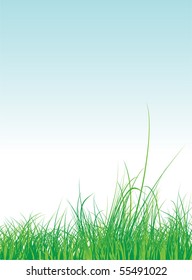 Grass frame with sky background, vector illustration