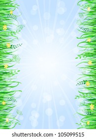 Grass Frame with Sun Light and Blue Sky on Backdrop