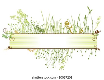 grass frame / vector  illustrarion / natural elements