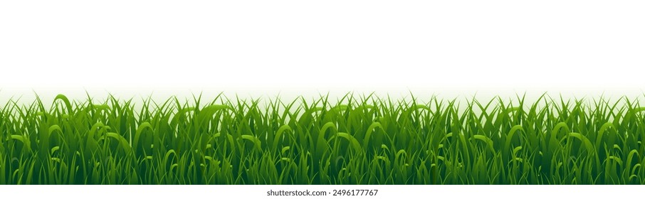 Grass Frame And White Background , Vector Illustration