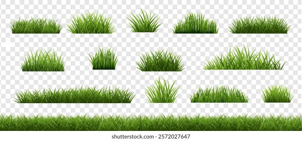 Grass Frame White And Transparent Background , Vector Illustration