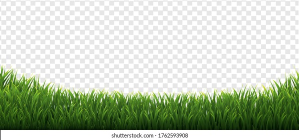 Grass Frames Set In Isolated Transparent Background Gradient Mesh, Vector Illustration