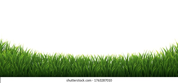 Grass Frames Set In Isolated White Background Gradient Mesh, Vector Illustration