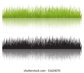 Grass fringes, vector illustration