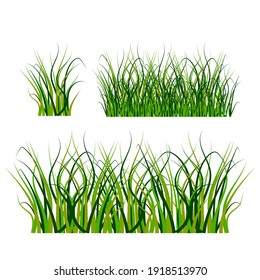 Grass, great design for any purposes. Seamless vector texture. White background. Stock image. EPS 10.