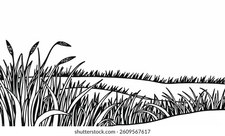 grass, green, background, field, nature, meadow, summer, garden, natural, spring, fresh, lawn, plant, landscape, outdoor, land, farm, growth, isolated, view, lush, leaf, environment, season, park,