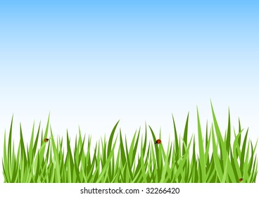 Grass green background vector