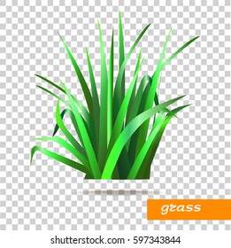 The grass is green. Nature.Vector