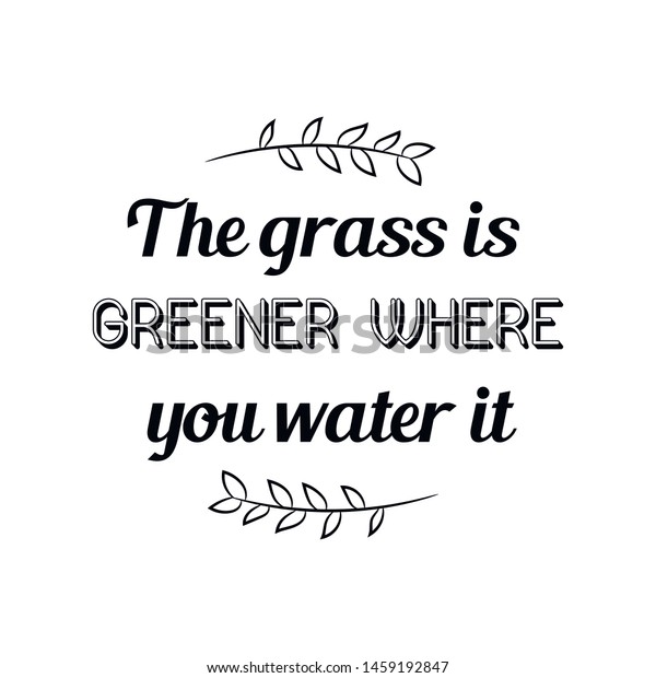 Grass Greener Where You Water Calligraphy Stock Vector Royalty