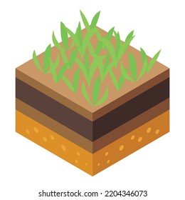 Grass and ground icon. Isometric of grass and ground vector icon for web design isolated on white background