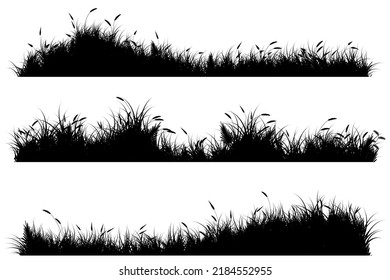 Grass Ground Silhouette. Grassy Landscape