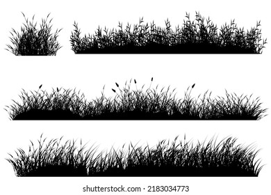 Grass Ground Silhouette, Tiny Grass Landscape