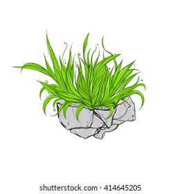 Grass growing on the stone. A piece of land with grass isolated on white background.