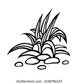 Grass growing in rocks, isolated on a white background.Vector illustration in doodle style.
