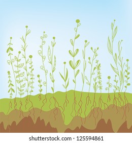 Grass growth with roots in the soil - agricultural illustration