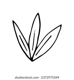 grass hand drawn in doodle style.