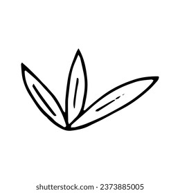 grass hand drawn in