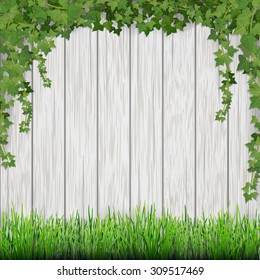 Grass and hanging ivy on white vintage wooden planks background.