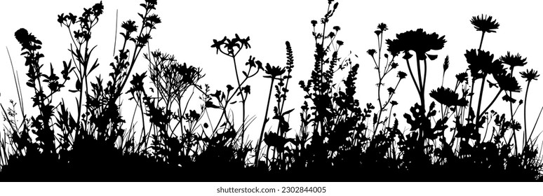 Grass with herbs and wild flowers. Vector isolated silhouette of floral meadow. Horizontal border.