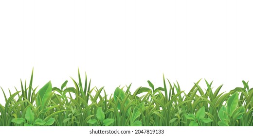 Grass herbs young plants seedlings green leaves decorative realistic seamless border pattern on white vector illustration